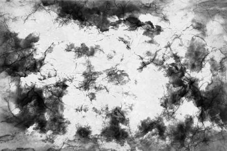 Abstract design of white with a black cloud with lines like veinsの写真素材