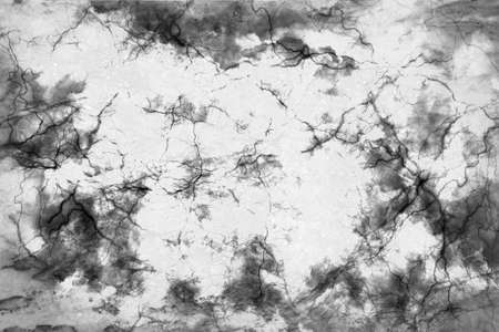Abstract design of white with a black cloud with lines like veinsの写真素材