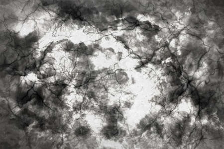 Abstract design of white with a black cloud with lines like veinsの写真素材