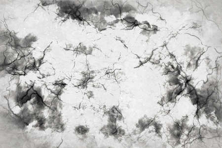 Abstract design of white with a black cloud with lines like veinsの写真素材