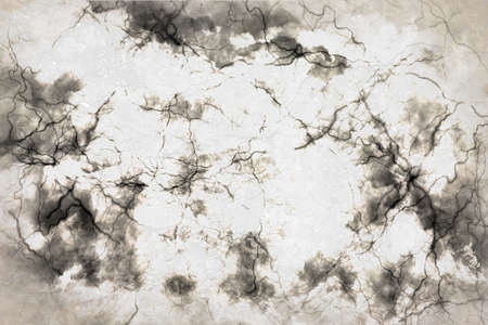 Abstract design of white with a black cloud with lines like veinsの写真素材