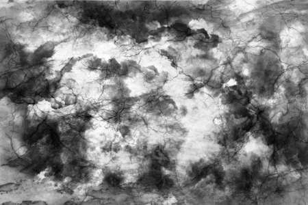Abstract design of white with a black cloud with lines like veinsの写真素材