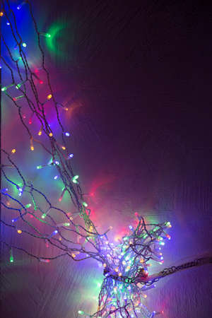 Christmas home decorationの写真素材