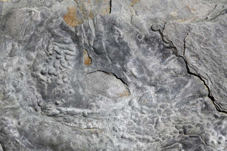 Background rock structure. Preview parts of natural rocksの写真素材