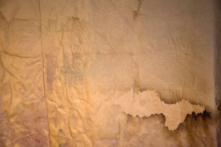 Rough paper texture, crumpled old paper sheetの写真素材
