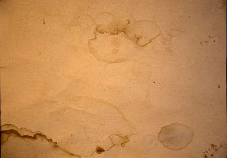 Rough paper texture, crumpled old paper sheetの写真素材
