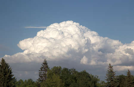 view the beautiful cloudsの写真素材