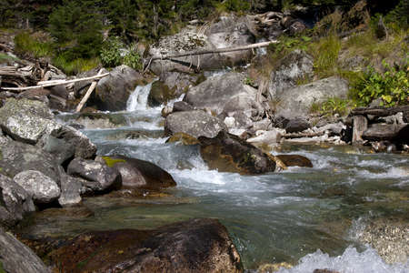 Alpine landscape with a river ,clean river and fir forestの写真素材