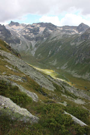 Alpine terrain with vegetation of the upper levelの写真素材