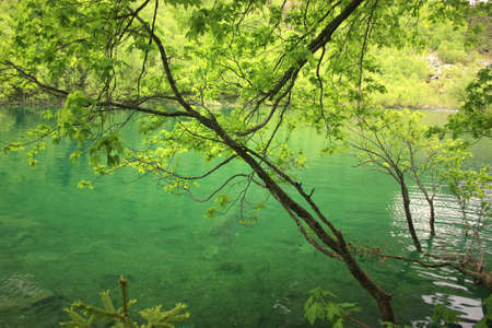 Pure mountain lake, Inspiring wilderness of Alpineの写真素材