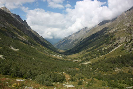 Alpine terrain with vegetation of the upper levelの写真素材