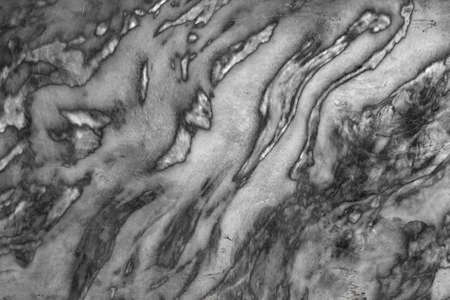 Marble black and white texture backgroundの写真素材