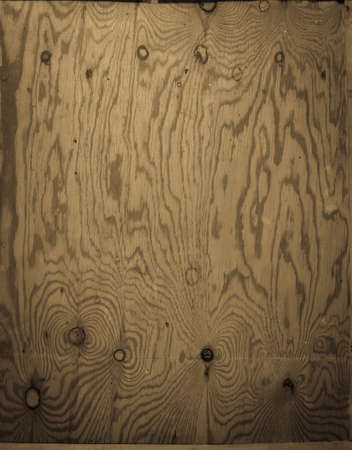 Wood texture background. The surface of the wood for design.の写真素材