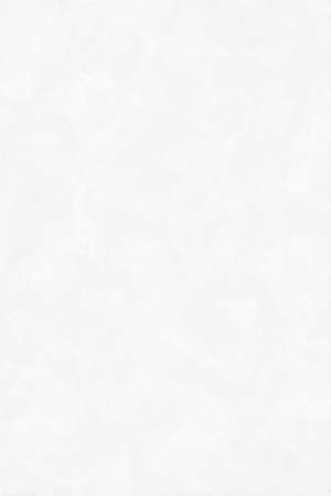 Paper texture,  designed grunge backgroundの写真素材
