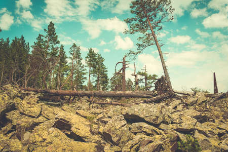 Beautiful valley and peaks in Caucasus mountains, the Main Caucasian ridge. North Caucasusの写真素材