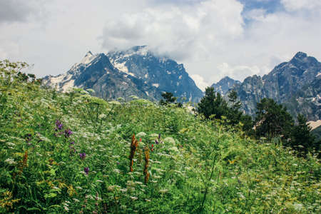 Beautiful valley and peaks in Caucasus mountains, the Main Caucasian ridge. North Caucasusの写真素材