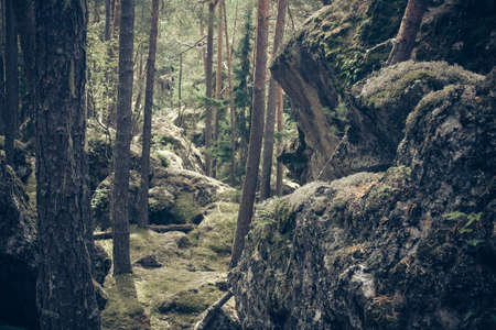 Beautiful valley and peaks in Caucasus mountains, the Main Caucasian ridge. North Caucasusの写真素材