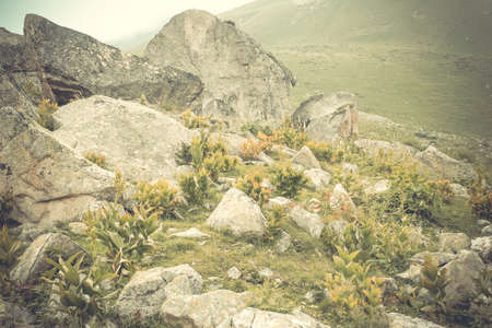 Beautiful valley and peaks in Caucasus mountains, the Main Caucasian ridge. North Caucasusの写真素材
