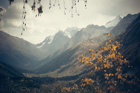 The mountain autumn landscape with colorful forest and high peaks Caucasus Mountainsの写真素材