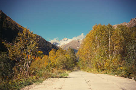 The mountain autumn landscape with colorful forest and high peaks Caucasus Mountainsの写真素材