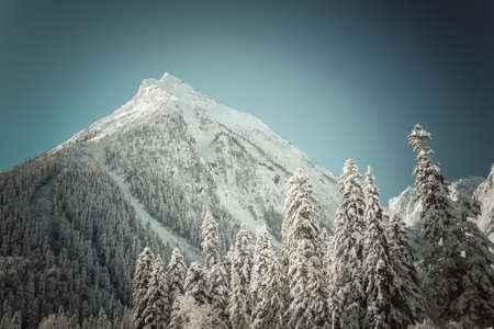 Winter mountains panorama with ski slopes. Caucasus