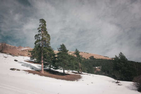 Winter mountains panorama with ski slopes. Caucasusの写真素材