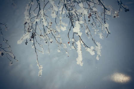 Winter mountains panorama with ski slopes. Caucasusの写真素材
