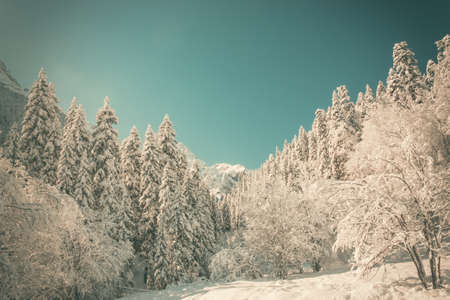 Winter mountains panorama with ski slopes. Caucasusの写真素材