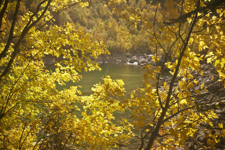 View Mountains Landscape lake and forest. Summer Travel Scenic.の写真素材
