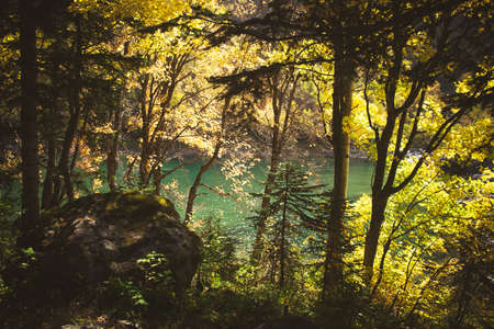 View Mountains Landscape lake and forest. Summer Travel Scenic.の写真素材