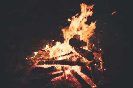 Flames and coals of fire. Burning wood in nature.の写真素材