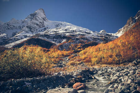 Mountain Valley a top view of the river bed. Landscape with a mountain river. Landscape with mountains trees and a river.の写真素材
