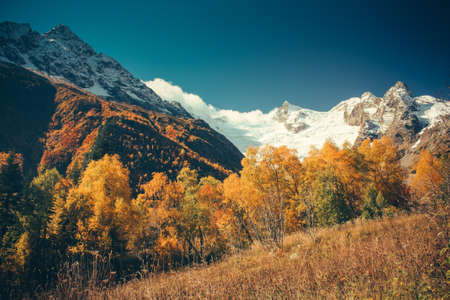Mountain Valley, Alpine landscape areas. Panoramic view of mountains, trees, glacier.の写真素材