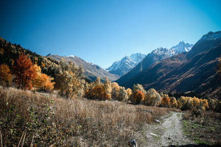 Mountain Valley, Alpine landscape areas. Panoramic view of mountains, trees, glacier.の写真素材