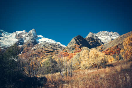 Mountain Valley, Alpine landscape areas. Panoramic view of mountains, trees, glacier.の写真素材