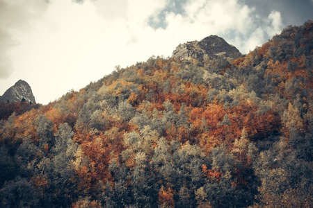 Mountain Valley, Alpine landscape areas. Panoramic view of mountains, trees, glacier.の写真素材