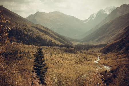 Mountain Valley, Alpine landscape areas. Panoramic view of mountains, trees, glacier.の写真素材
