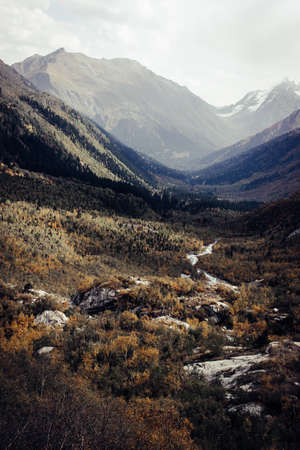 Mountain Valley a top view of the river bed. Landscape with a mountain river. Landscape with mountains trees and a river.の写真素材