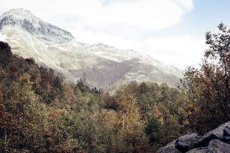 Mountain Valley, Alpine landscape areas. Panoramic view of mountains, trees, glacier.の写真素材
