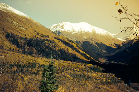 Mountain Valley, Alpine landscape areas. Panoramic view of mountains, trees, glacier.の写真素材