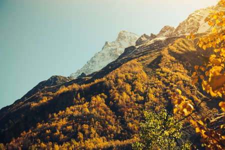 Mountain Valley, Alpine landscape areas. Panoramic view of mountains, trees, glacier.の写真素材