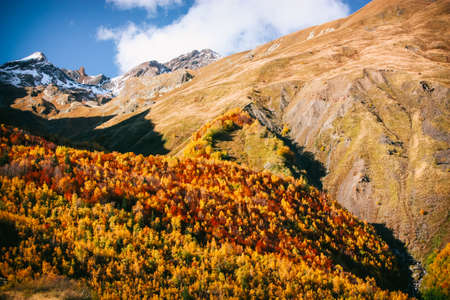 Mountain Valley, Alpine landscape areas. Panoramic view of mountains, trees, glacier.の写真素材