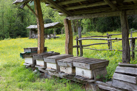 Summer view valley and apiary in the old village. Hives manufacture of manual sposb covered with...
