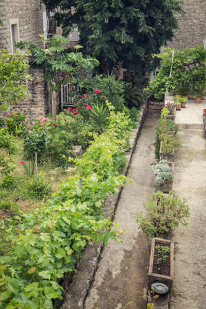 The ancient city on the coastline of Adriatic sea. Budva. Montenegro. Budva riviera. Ancient fortress the in Venetian style.のeditorial素材