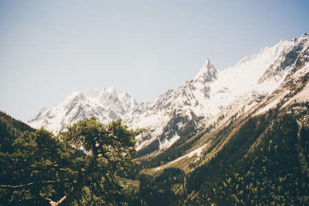 Mountain summer landscape with forest and high peaks. Caucasus. Russia. A view of the main Caucasian ridge. Biosphere Reserve resort Dombay. The concept of travel and tourism.の写真素材
