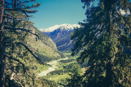 Mountain summer landscape with forest and high peaks. Caucasus. Russia. A view of the main Caucasian ridge. Biosphere Reserve resort Dombay. The concept of travel and tourism.の写真素材