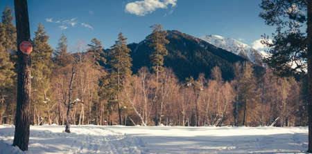 Winter mountains panorama with ski slopes. Caucasus.の写真素材