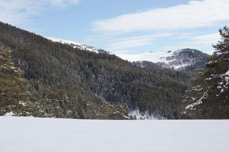 Winter landscape of snowy mountains on a clear day. The concept of travel, scenic views of rocky peaks and slopes with coniferous forest.の写真素材