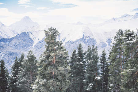 Winter landscape of snowy mountains on a clear day. The concept of travel, scenic views of rocky peaks and slopes with coniferous forest.の写真素材