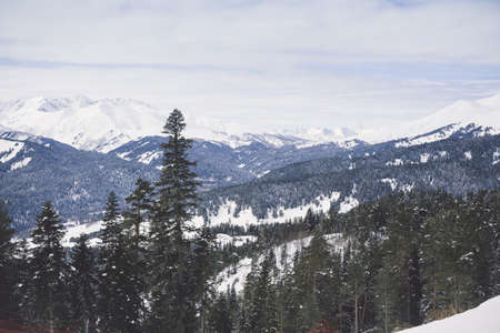 Winter landscape of snowy mountains on a clear day. The concept of travel, scenic views of rocky peaks and slopes with coniferous forest.の写真素材